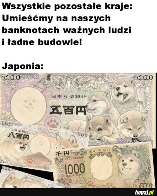 Piękne banknoty