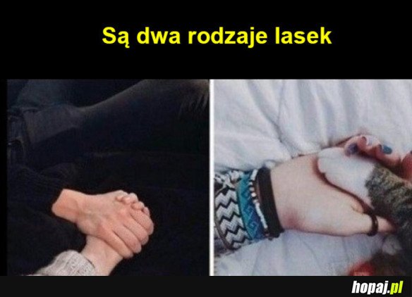 Dwa rodzaje lasek