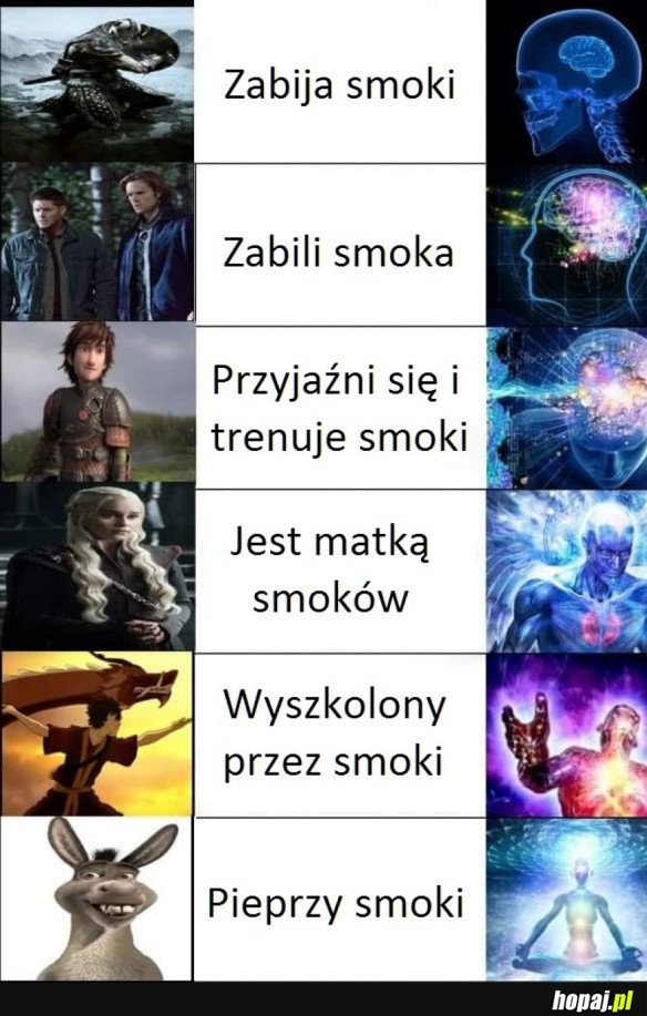 'EXPANDING BRAIN MEME' - DANGEROUS DRAGONS