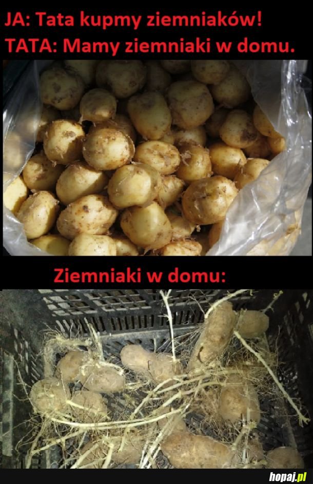 Ziemniaki w domu 