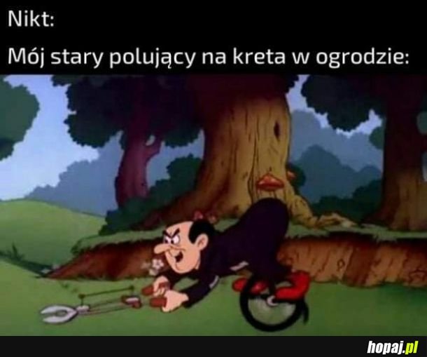 Stary i kret