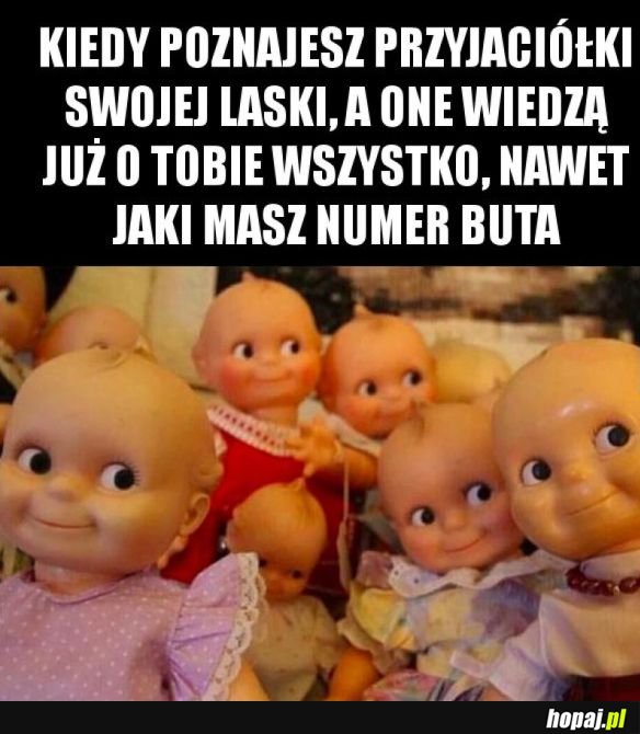 Koleżanki