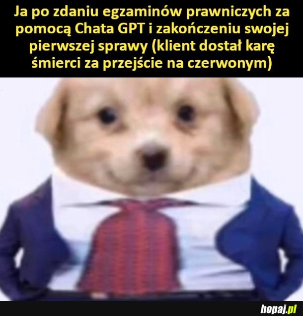 Świetnie poszło