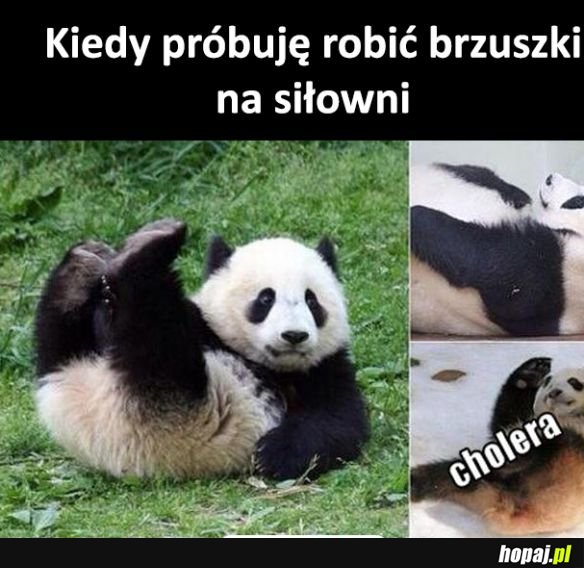 Jestem fit