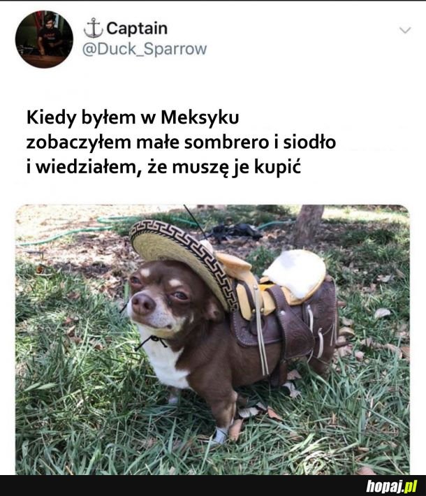 Dobry zakup