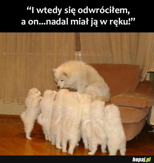 Straszne opowieści