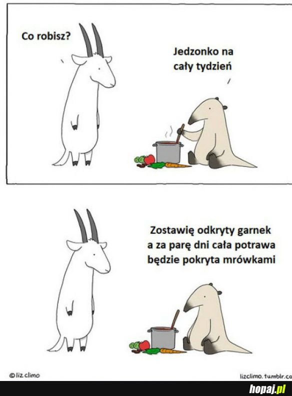 Samo się zrobi