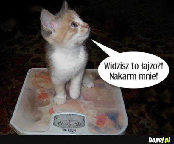 NAKARM MNIE!