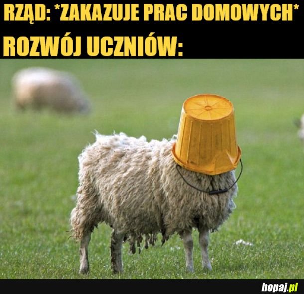 Zadania domowe.