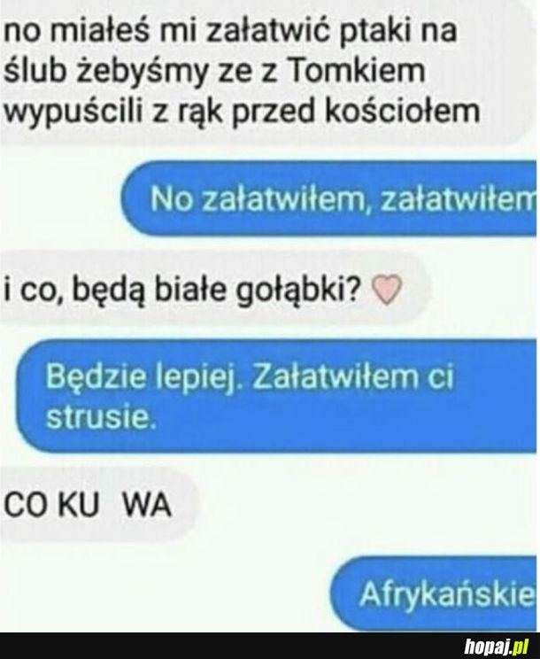 Niezapomniane wesele