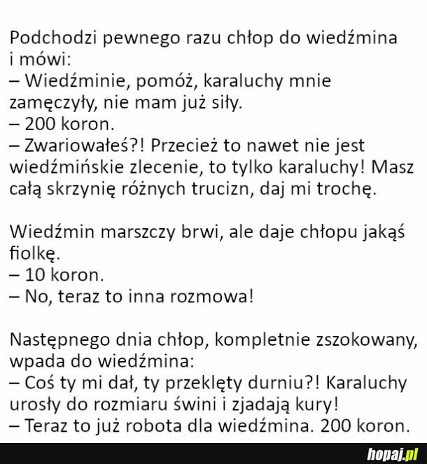 Robota dla wiedzmina