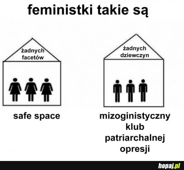 Feministki