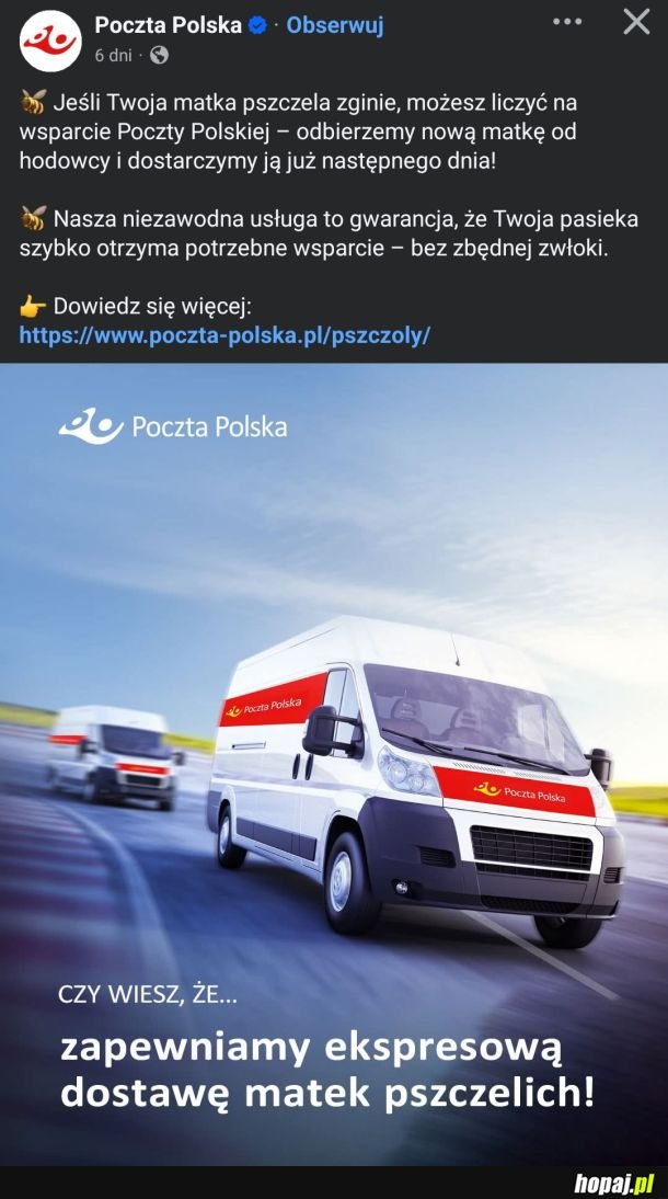 Czy to oznacza, że żeby moja paczka dotarła na czas muszę dodatkowo zamówić pszczołę?