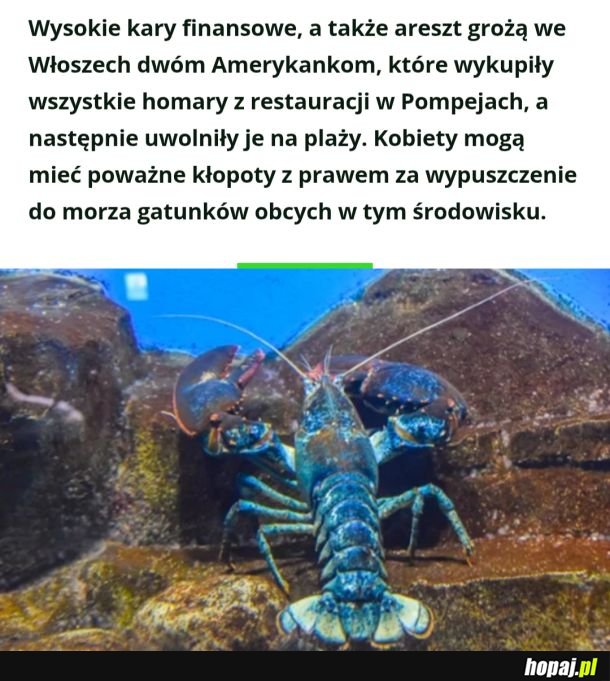 Zapraszamy na serial: "Ekopatologia" odc. 213