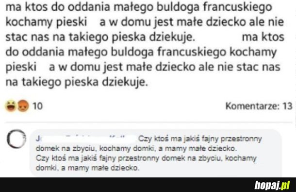 Madki