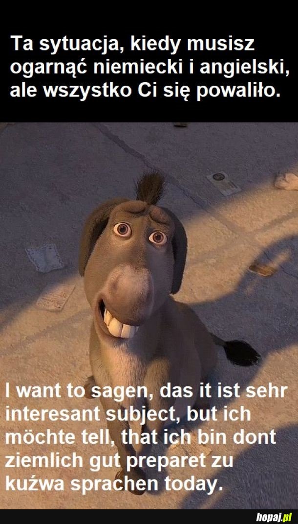 Ich bin sorry