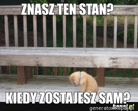 ZNASZ TEN STAN?