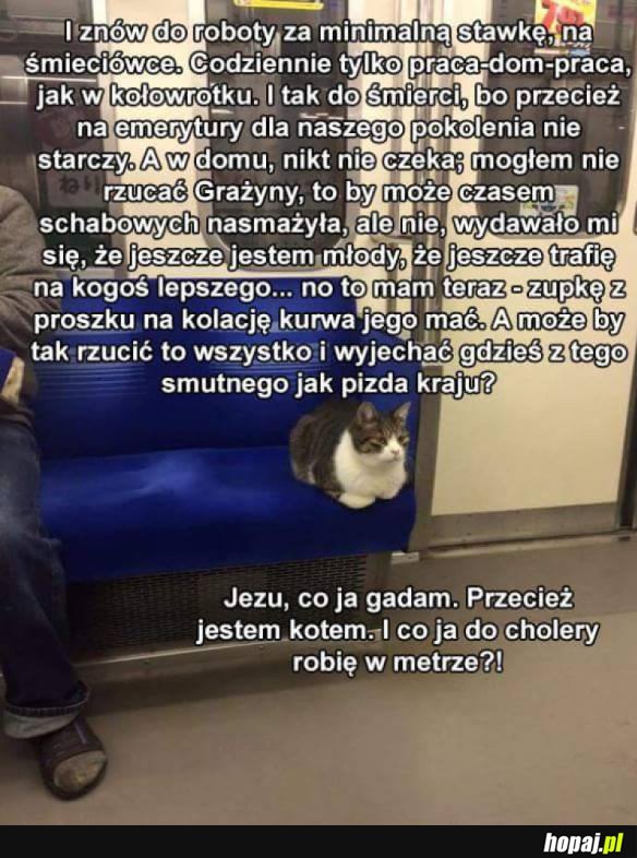 PRZEMYŚLENIA KOTEŁA 