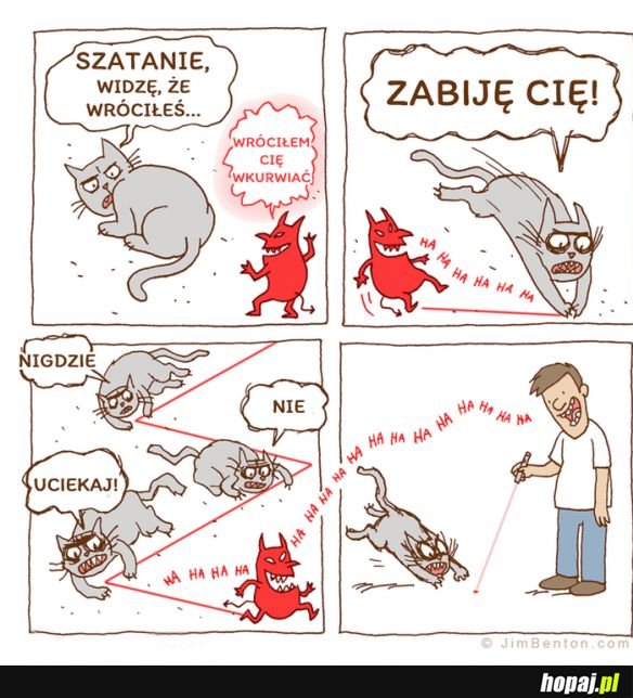 Kotki takie są