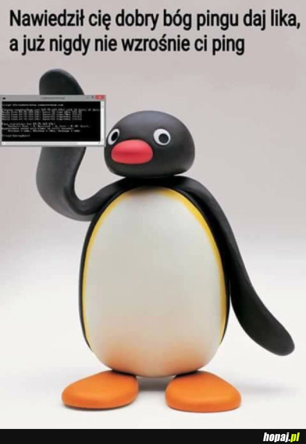 PINGU