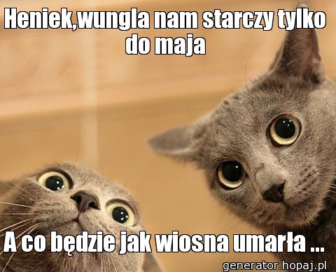 Heniek,wungla nam starczy tylko do maja