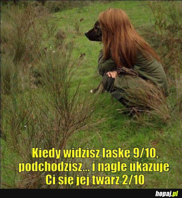 Z tyłu liceum, z przodu muzeum