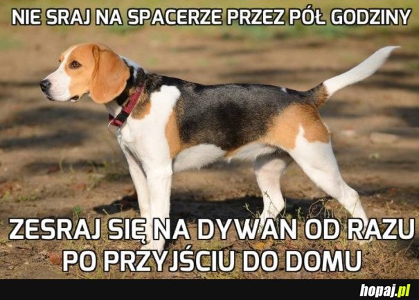 PSIA LOGIKA