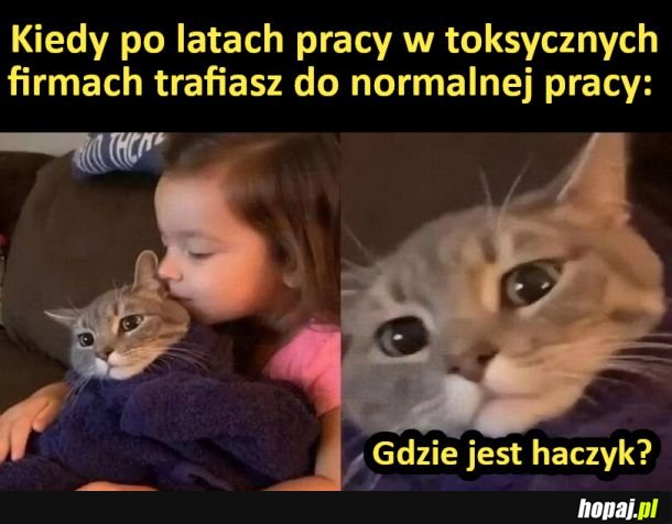 Gdzie jest haczyk?