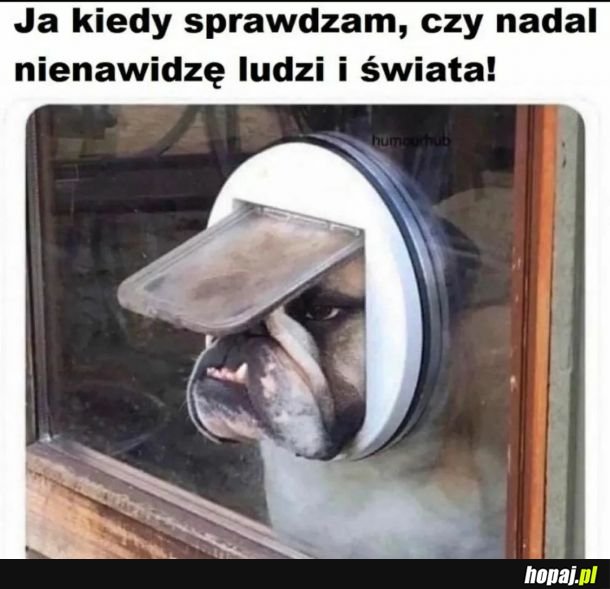 Tu jesteście przegrywy