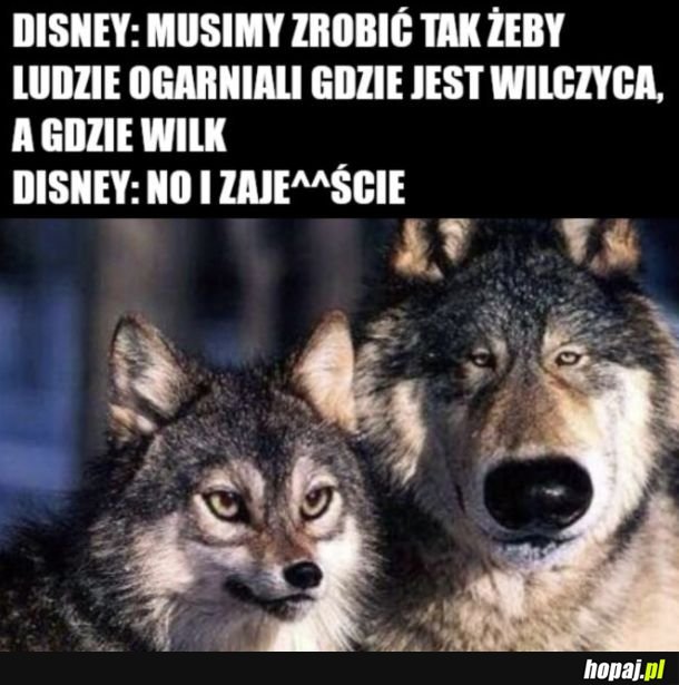 No i załatwione