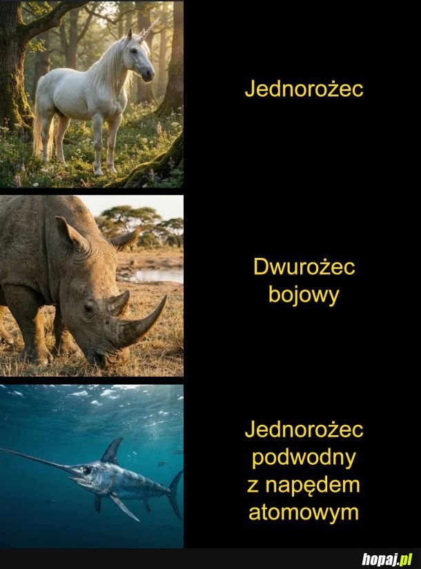 Znam się na zwierzętach