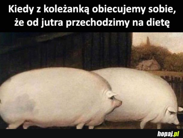 Ja i przyjaciółka