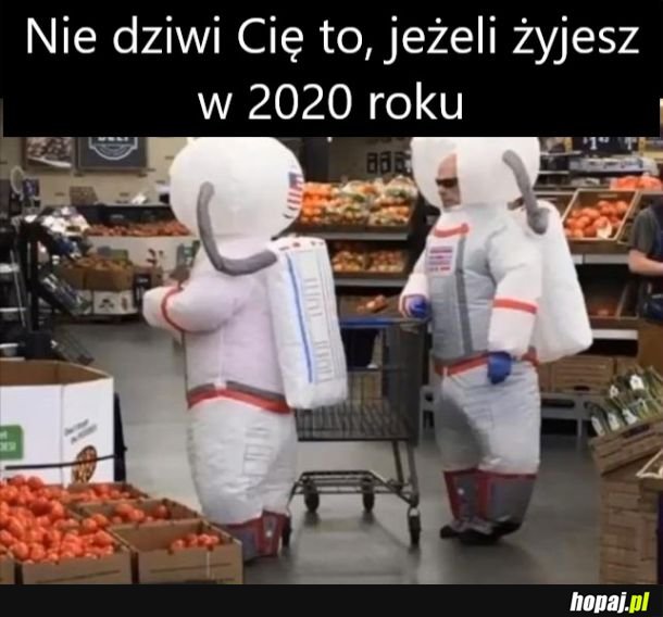 Typowe wyjście do sklepu