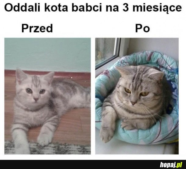 TAK JEST U BABCI