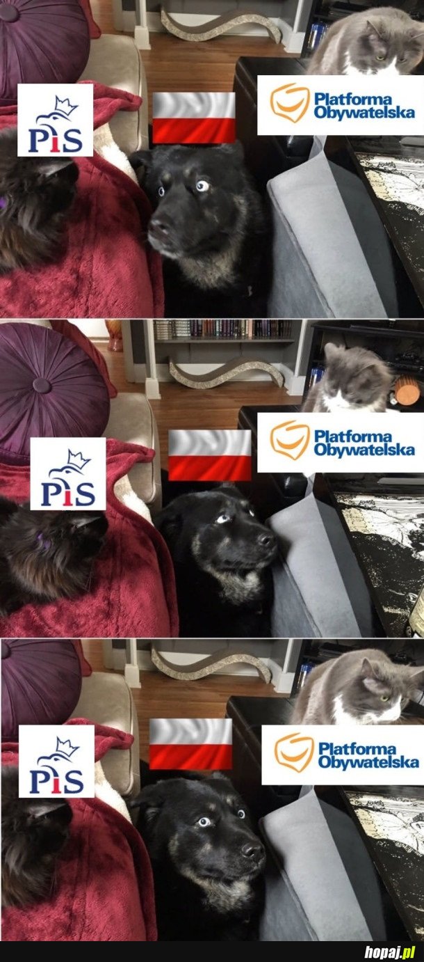 SYTUACJA W POLSCE