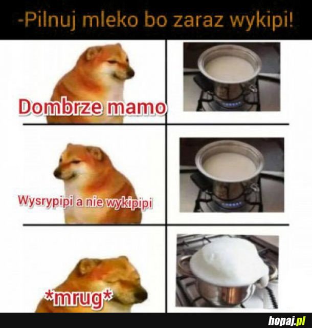 Nienawidzę gotowania mleka