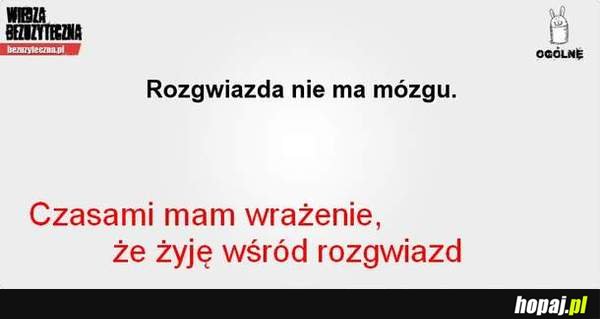 Rozgwiazda nie ma mózgu