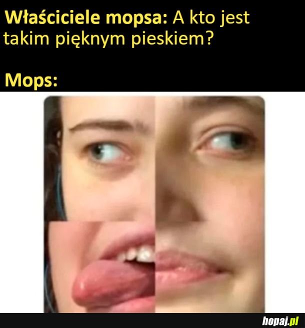 Mopsik