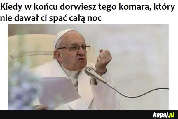 Giń suko! 