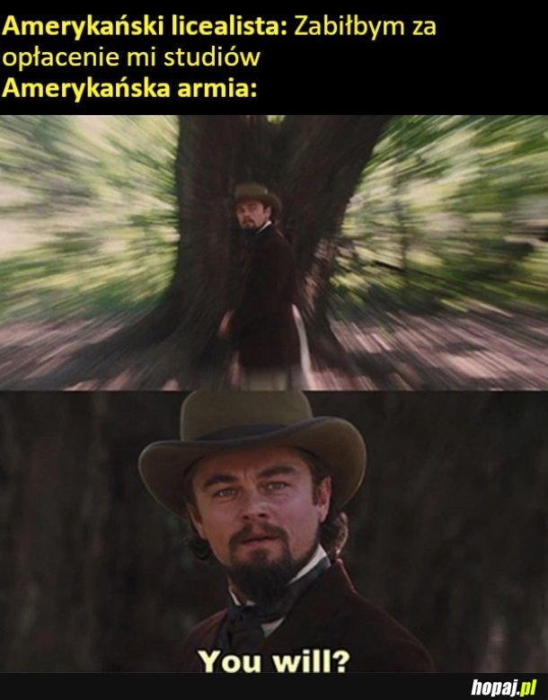 Studia