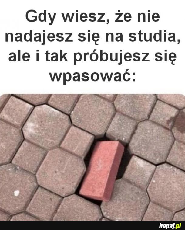 Może się uda