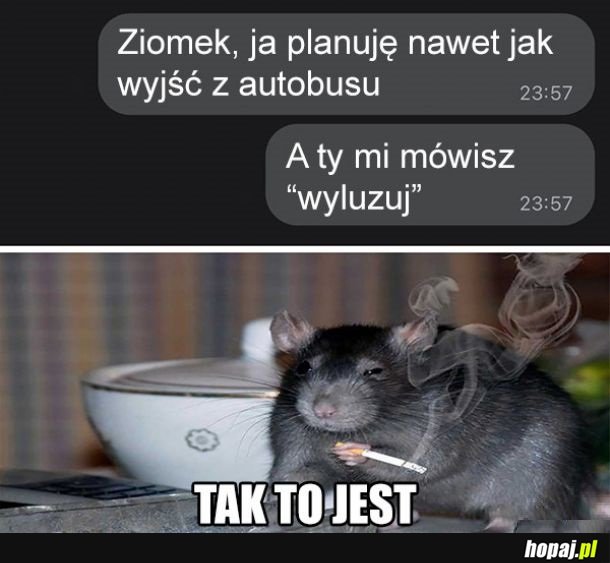 Wyluzuj