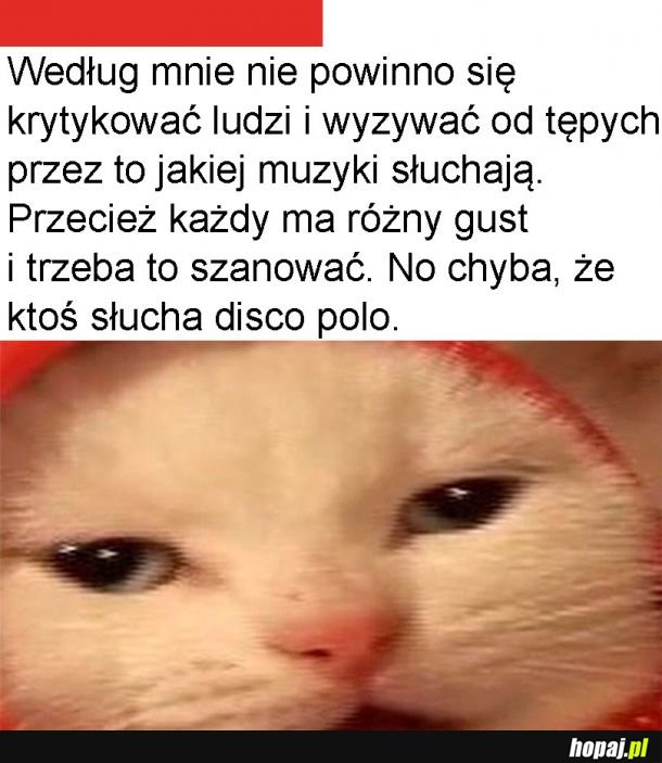 Krytyka