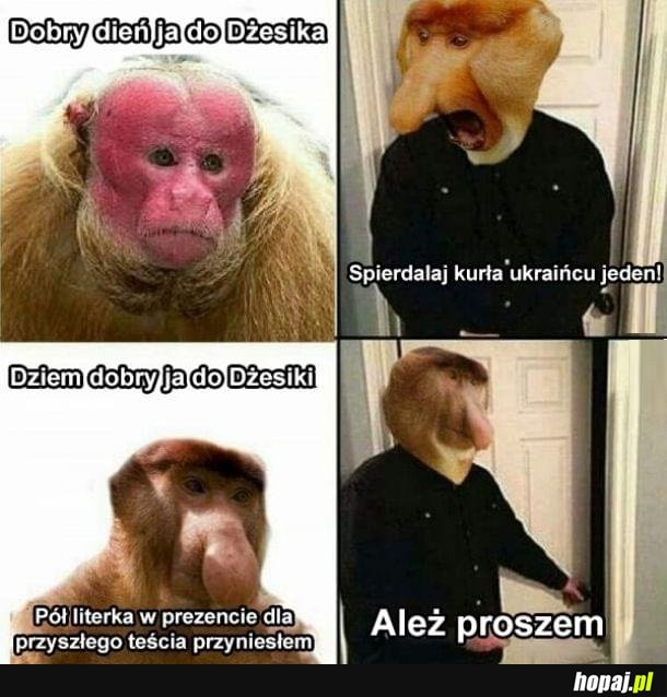 Dzień dobry