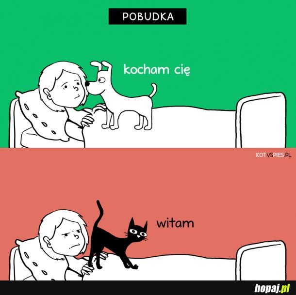  Dzień dobry 