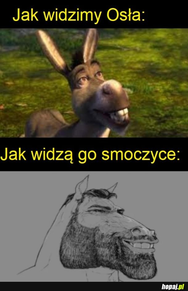 Różnica w postrzeganiu świata