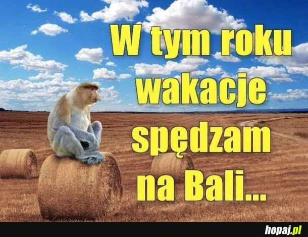 Najlepsze wakacje ever 