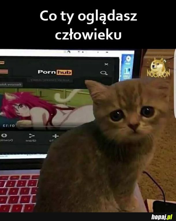 Co tu się