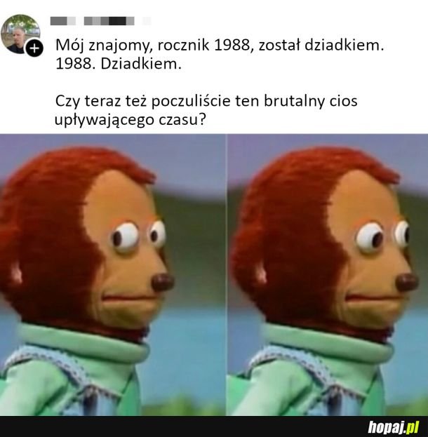Brutalna rzeczywistość