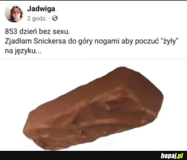 Żyły